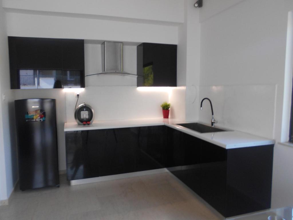 DREAM & HARMONY - 10