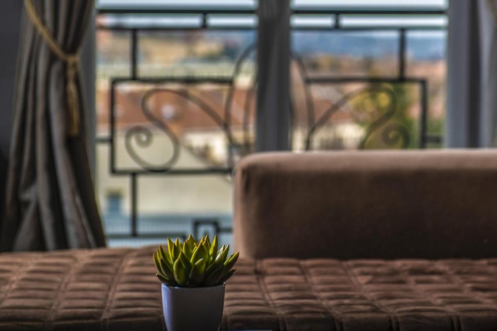 Posezení v ubytování Erla Villa Boutique Hotel