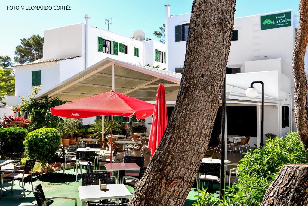 Fotografie z fotogalerie ubytování Hostal La Ceiba v destinaci Cala d´Or