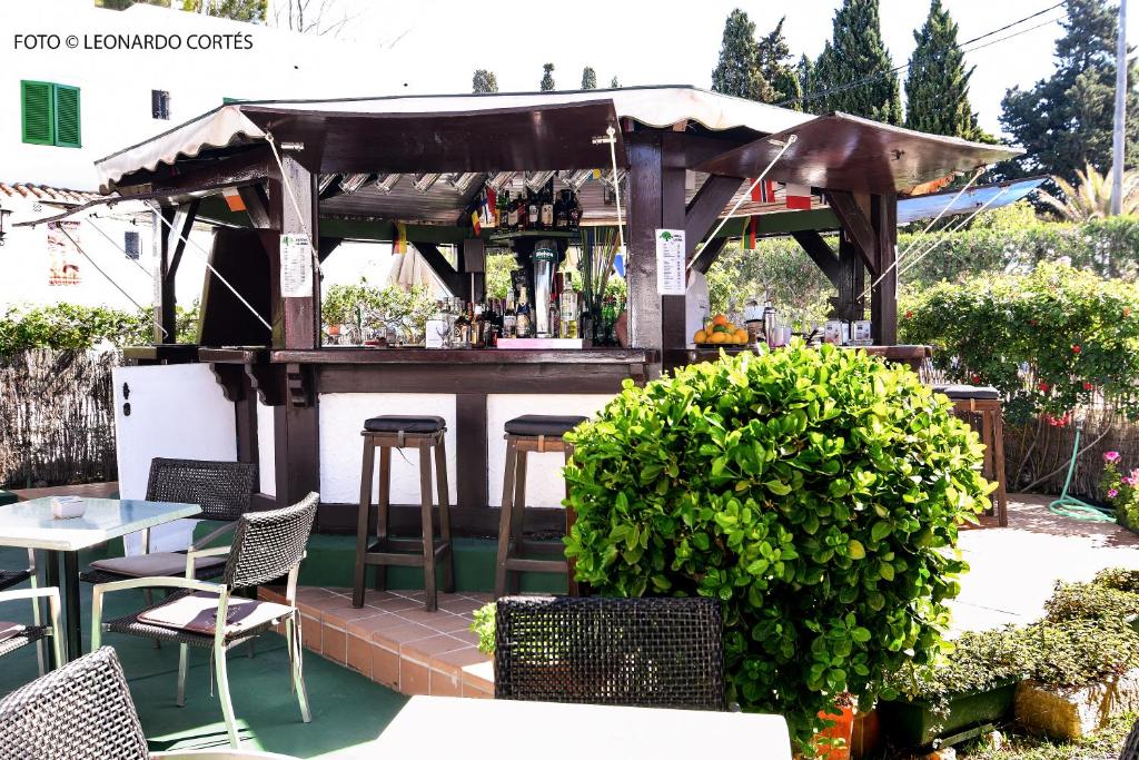 Fotografie z fotogalerie ubytování Hostal La Ceiba v destinaci Cala d´Or
