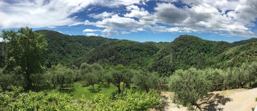a view of a forest with mountains in the background at Caddelovi in Fibbialla