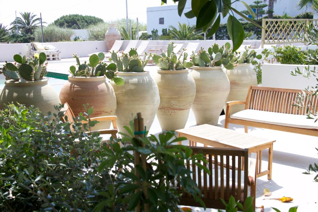 Zahrada ubytování Il Gabbiano Relais in Stromboli