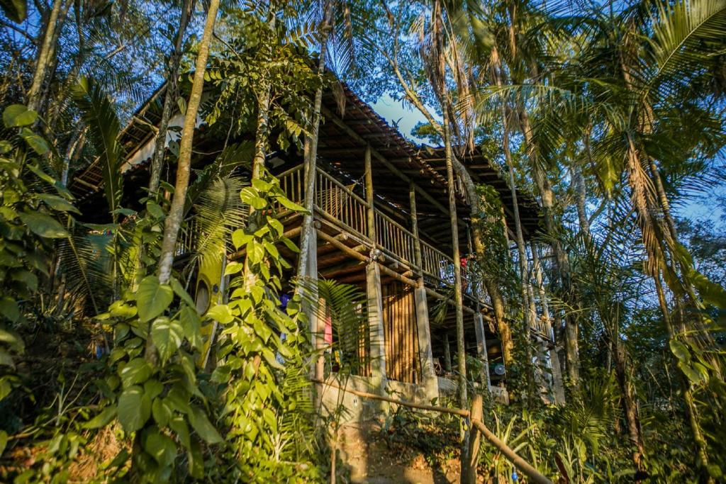 Ein Haus mit einem Haufen Bananenbäume in der Unterkunft Remo Hostel in Parati-Mirim