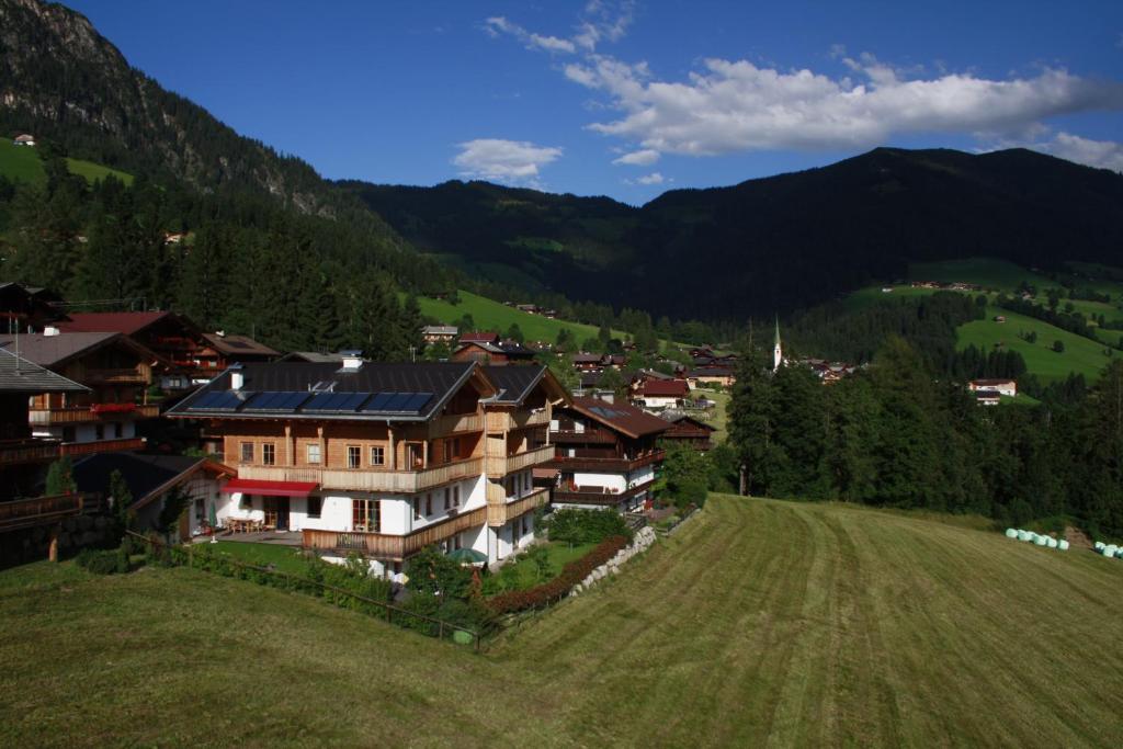 Príroda v okolí of the country house