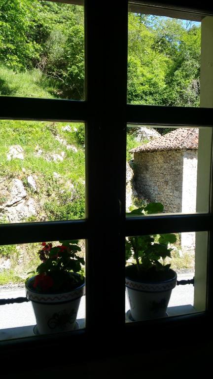 Zahrada ubytování LAS VILLAS DEL PONTON