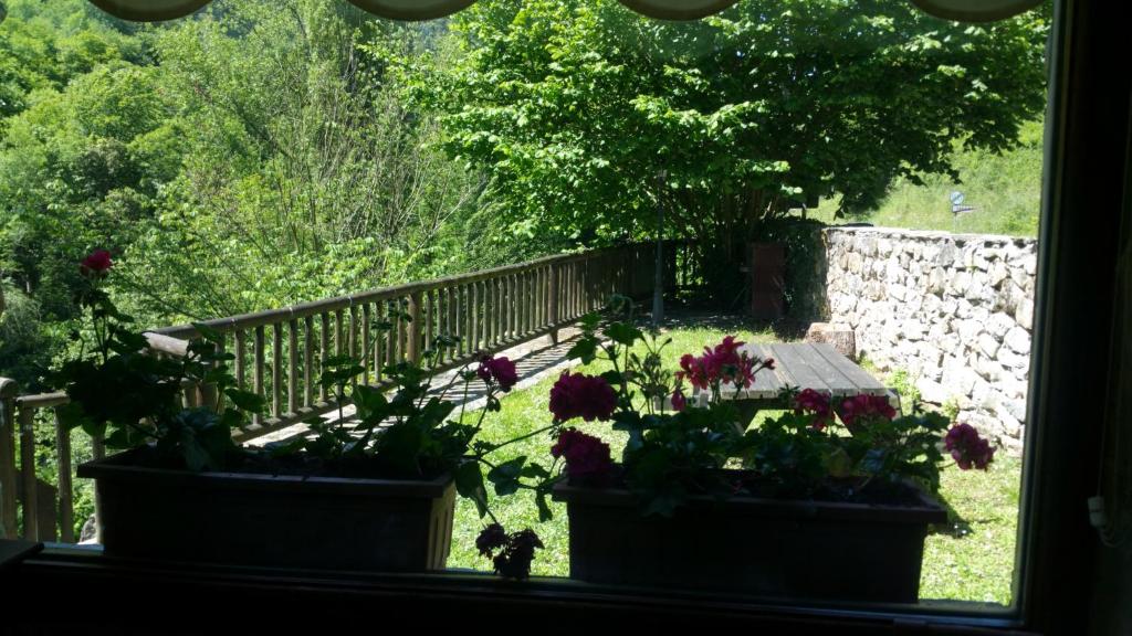 Zahrada ubytování LAS VILLAS DEL PONTON