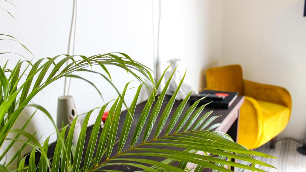 a plant in a room with a desk and a yellow chair at Casa LOBE in Ocosingo