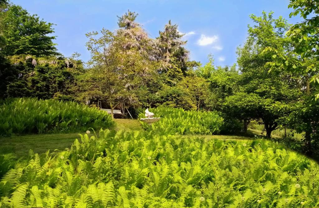 Zahrada ubytování Hotel Garni