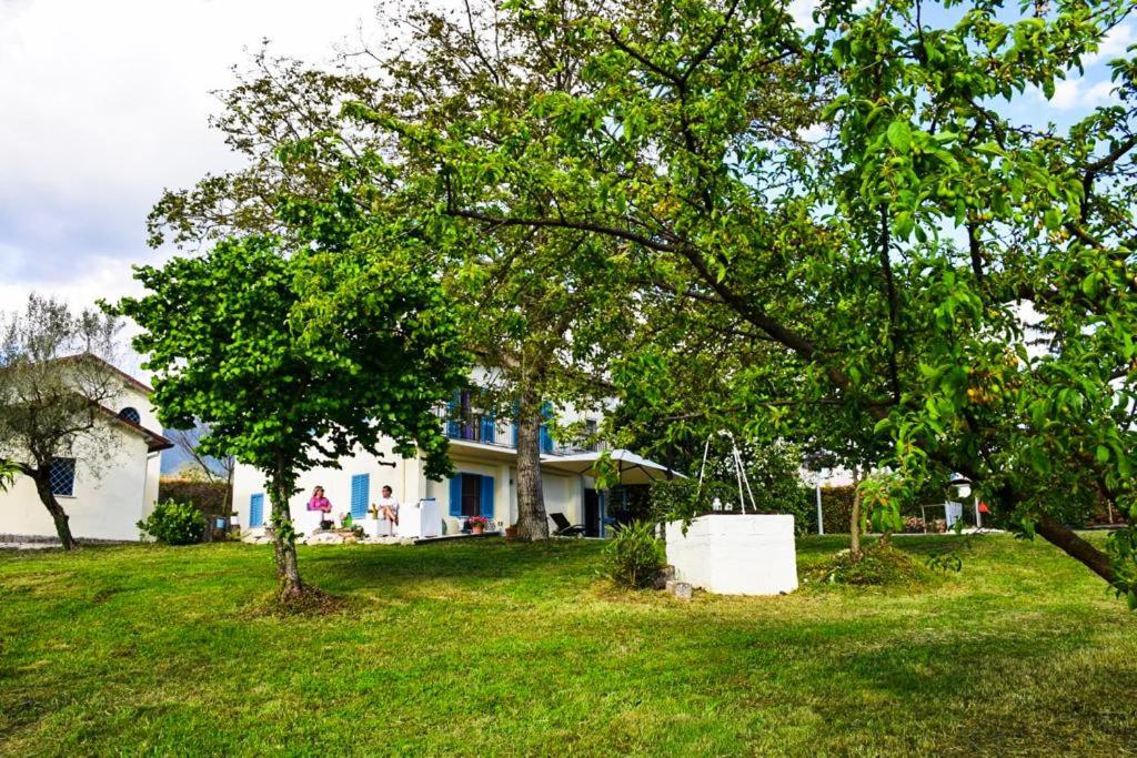 una casa con árboles frente a un patio en Idillio Country House, en Alvito