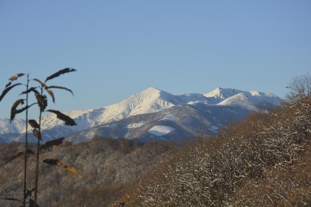 A general mountain view or a mountain view taken from a panziókat