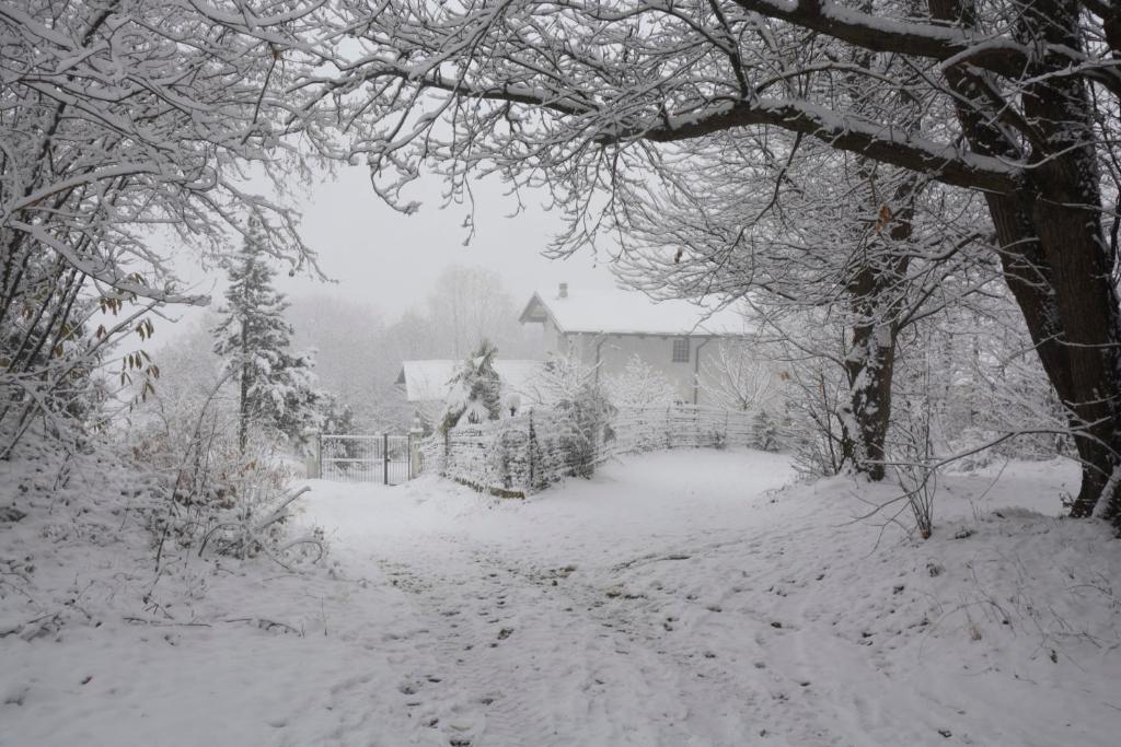 Casa Omnia B&B during the winter