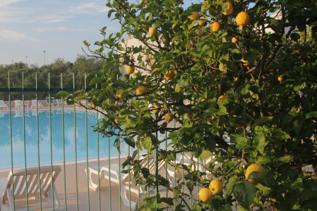 Piscina a Albergo 2 Pini o a prop