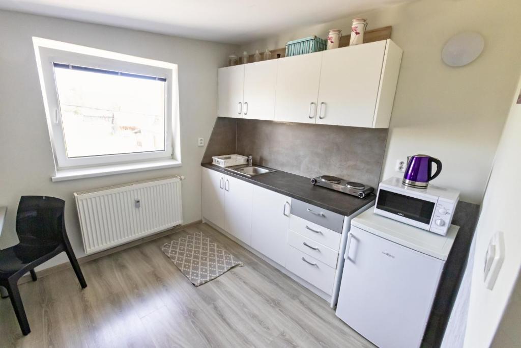 Kuchyň nebo kuchyňský kout v ubytování Apartmán Theo