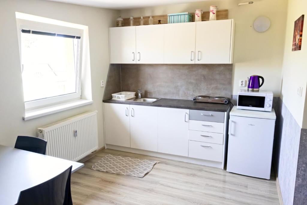 Kuchyň nebo kuchyňský kout v ubytování Apartmán Theo