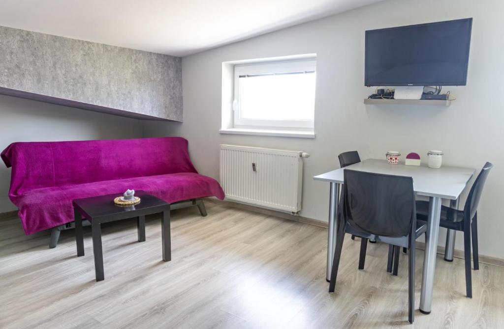 TV a/nebo společenská místnost v ubytování Apartmán Theo