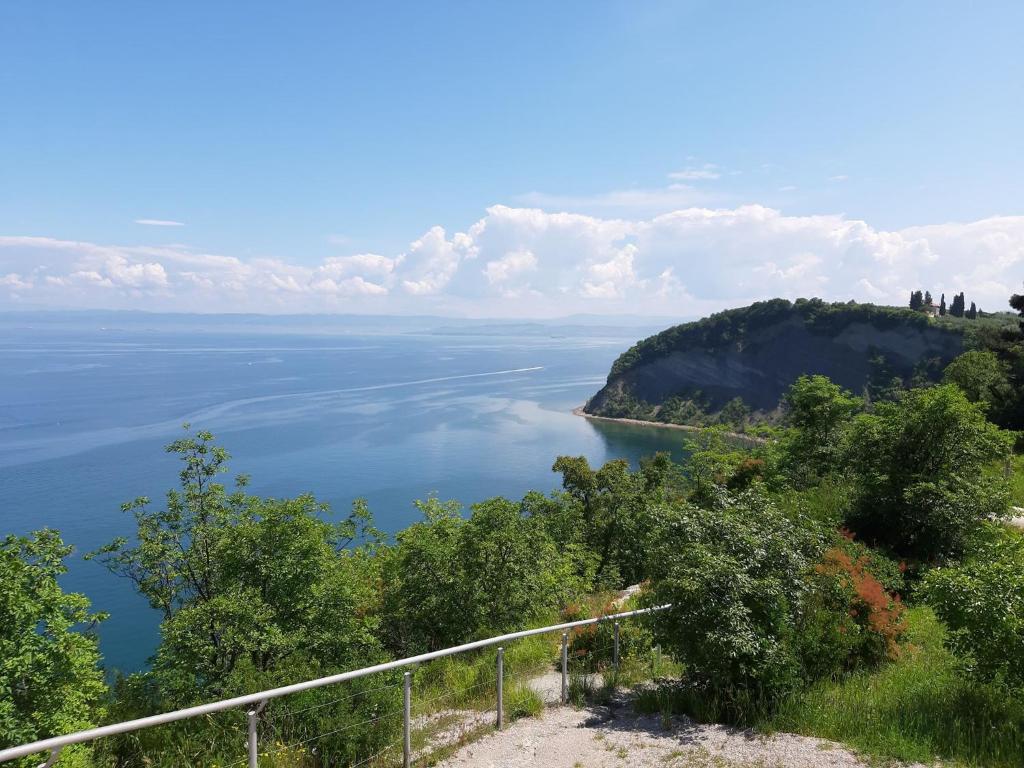 Příroda nedaleko hotelu