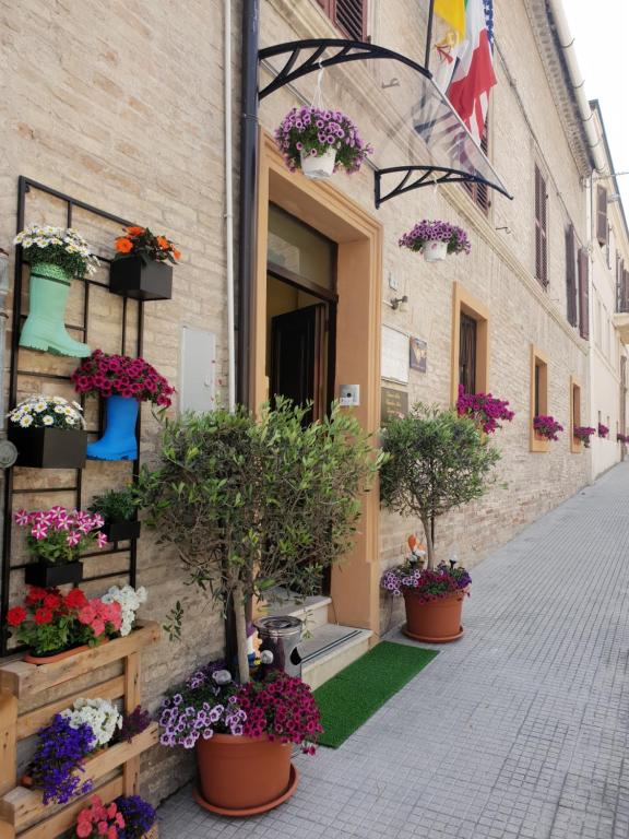 Domus Pacis Santa Chiara casa per ferie في لوريتو: شارع فيه نباتات الفخار على جانب المبنى