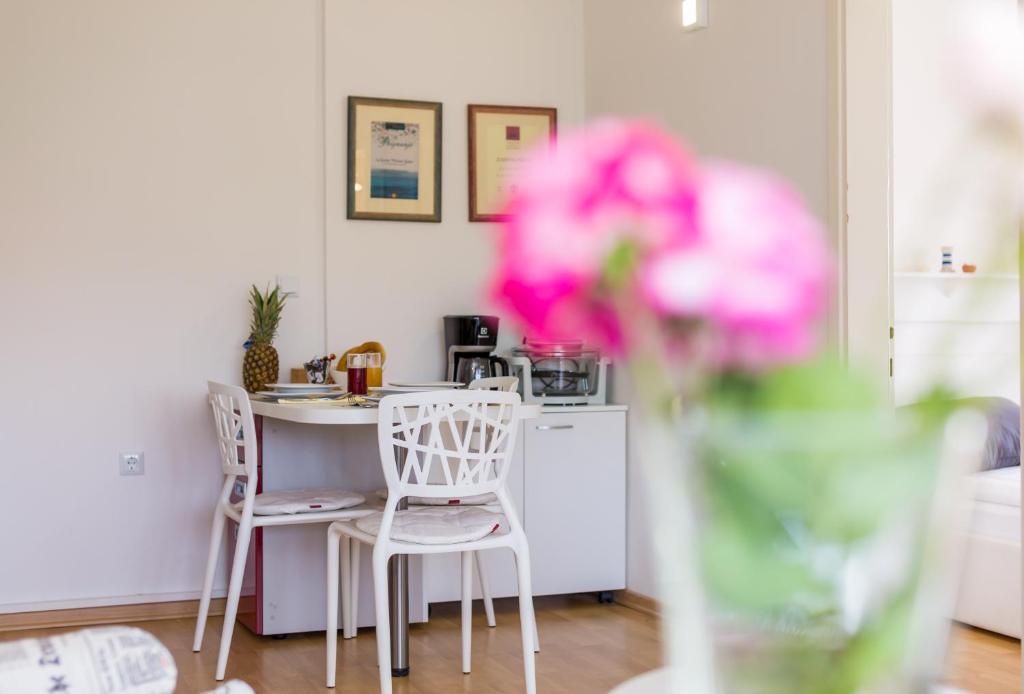 Fotografie z fotogalerie ubytování Molnar Resort Apartment Ljiljana v destinaci Brzac