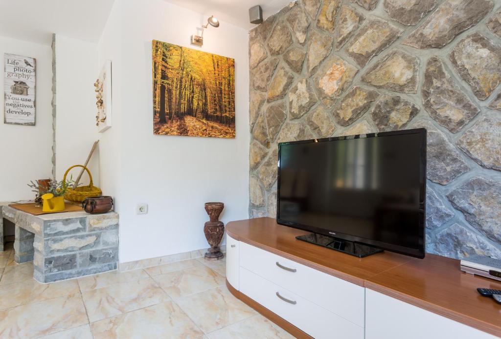 TV a/nebo společenská místnost v ubytování Molnar Resort Apartment Sergej