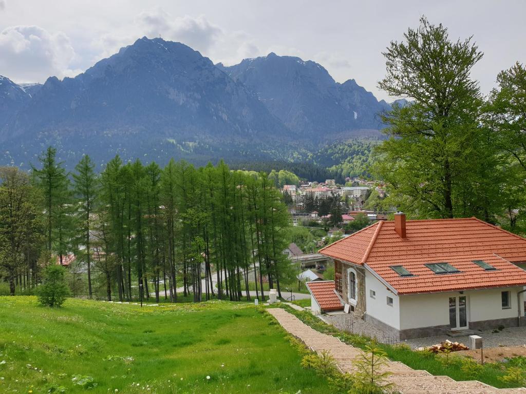 a small house on a hill with mountains in the background at Castelul Cantacuzino in Buşteni