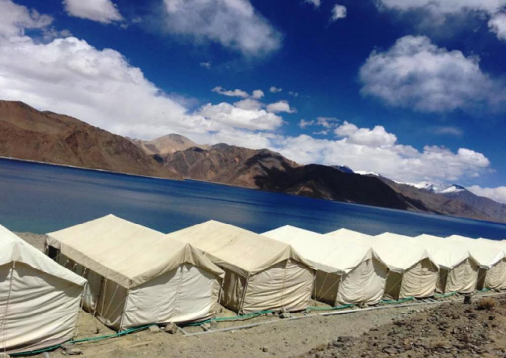 Tih Ladakh Summer Pangong Camp Lukung Updated 2021 Prices