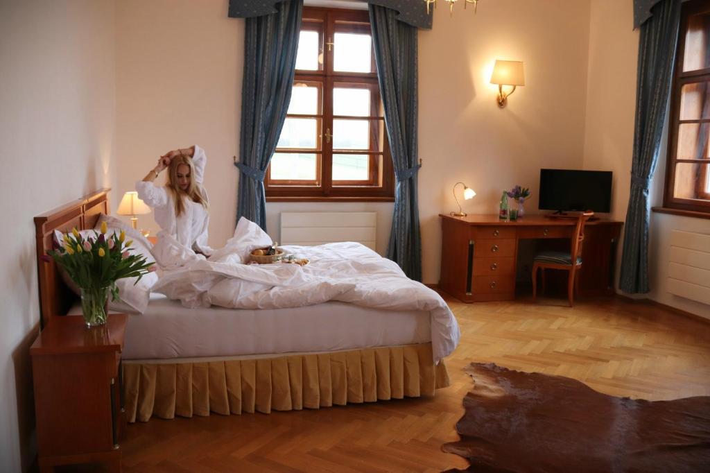 TV a/nebo společenská místnost v ubytování Wellness Hotel Zámeček
