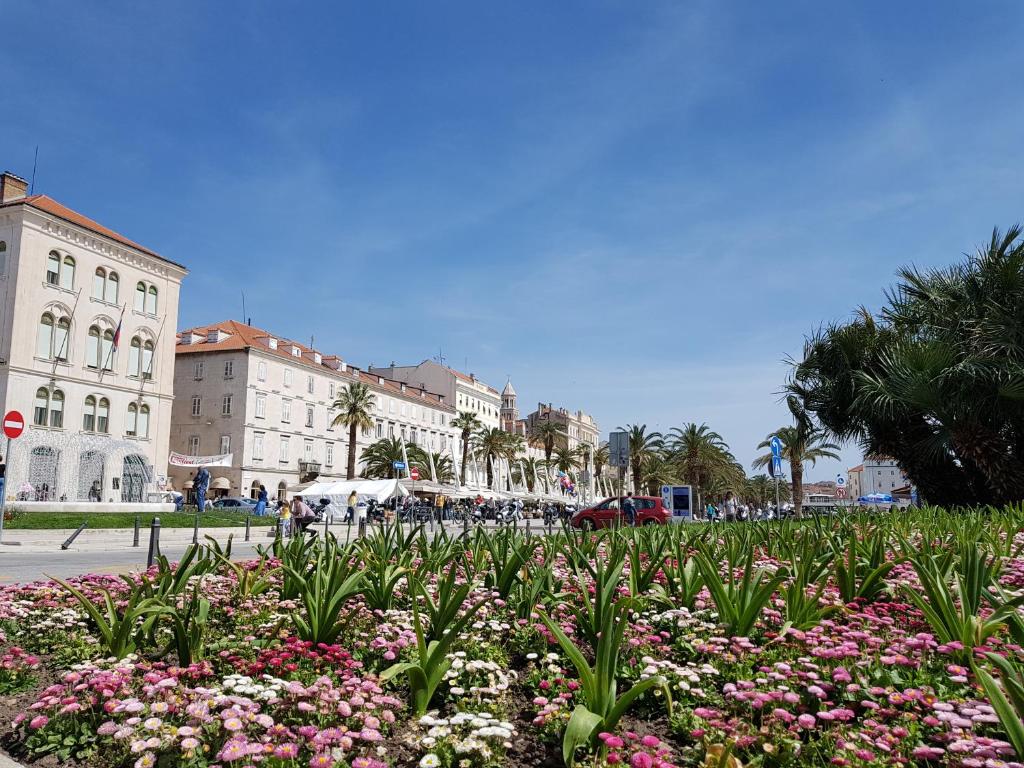a street with flowers in the middle of a city at Apartments Emi in Split