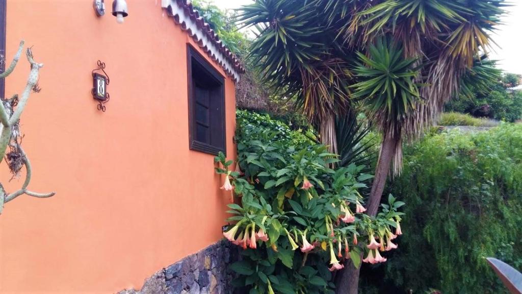 Zahrada ubytování Casa Ida