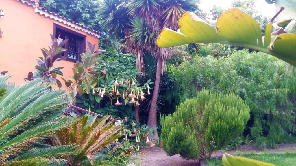 Zahrada ubytování Casa Ida