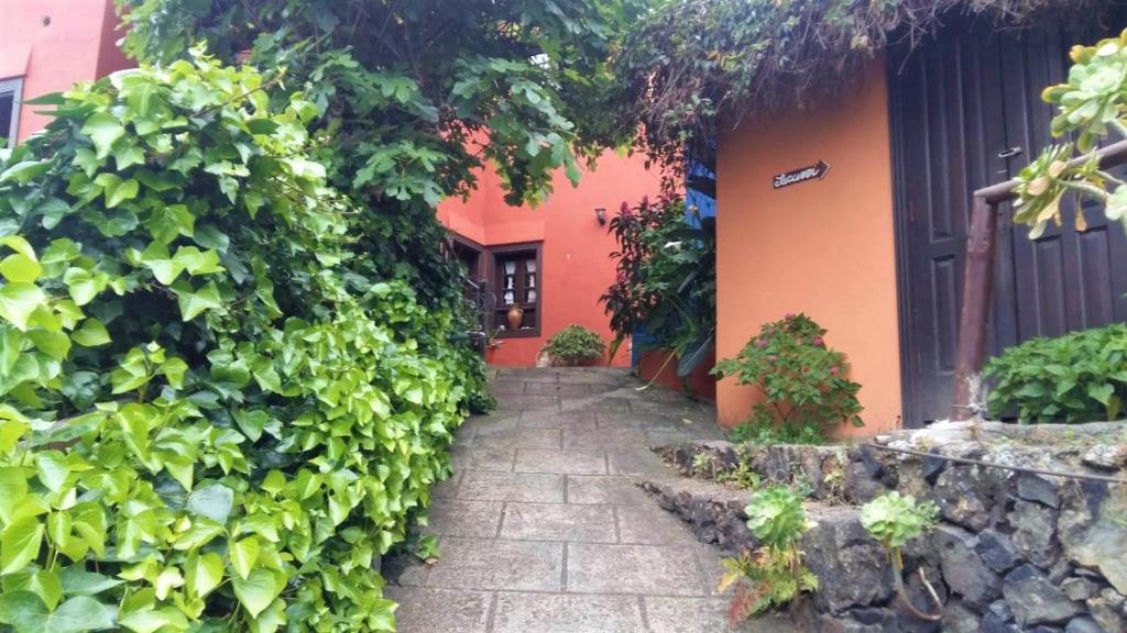 Zahrada ubytování Casa Ida