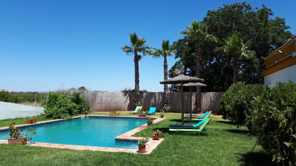 a swimming pool in a yard with palm trees at Cortijo Santa Clara in Carmona
