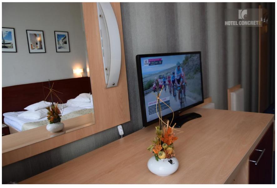 TV a/nebo společenská místnost v ubytování Hotel Concrete