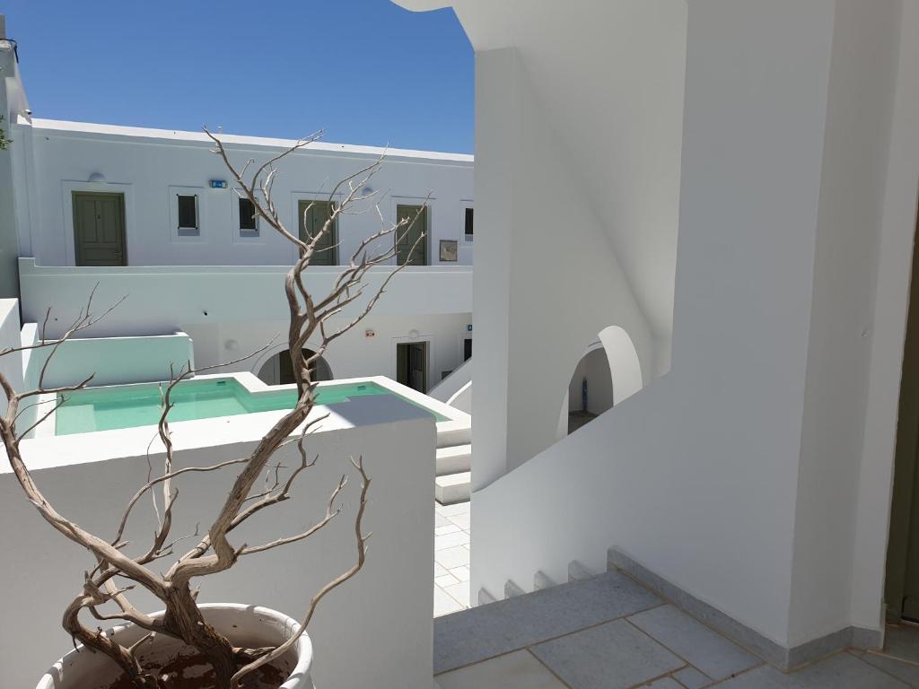 a view from the balcony of a house with a plant at Artemis Hotel in Antiparos Town