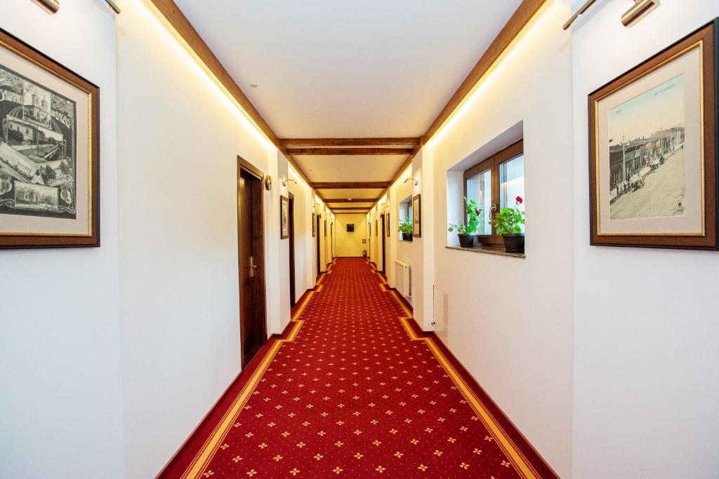 a corridor of a hallway with a red carpet at Magic Garden by Vlăduț in Bacău