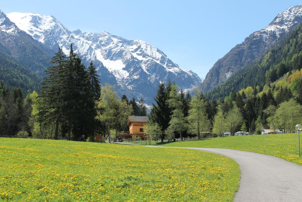 a road in a field with a mountain in the background at Chalet Presanella in Temù