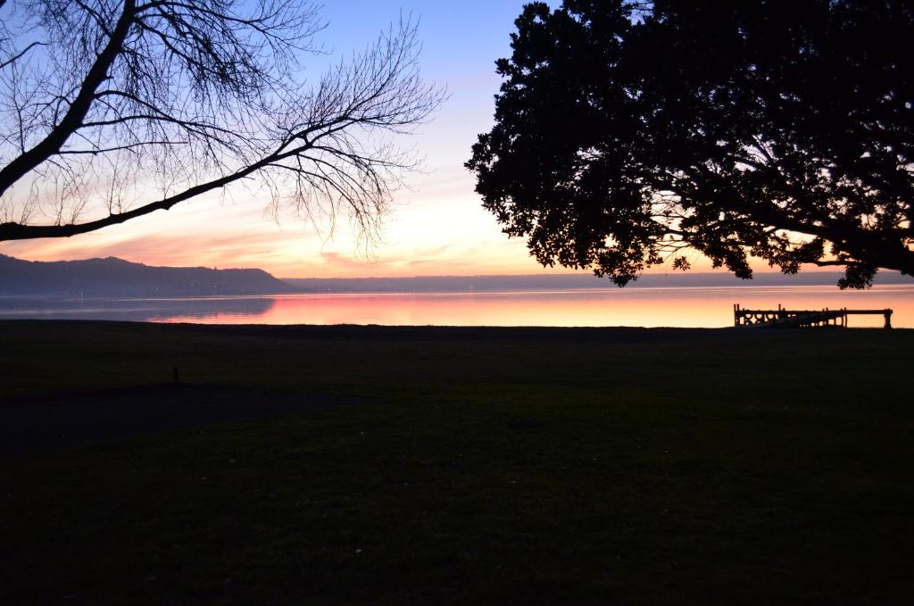 Cedarwood Lakeside Motel & Conference Venue - Resim 10