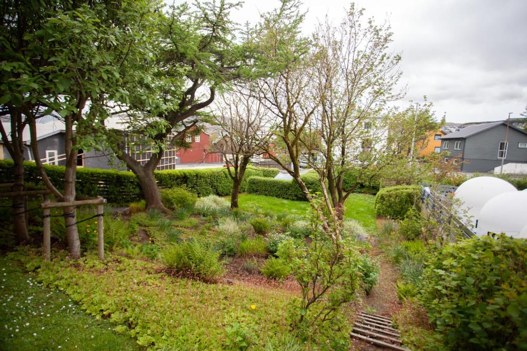 a garden with plants and trees in a yard at 3 storey, 5 bedroom, 3 bathroom house in the center of Tórshavn in Tórshavn