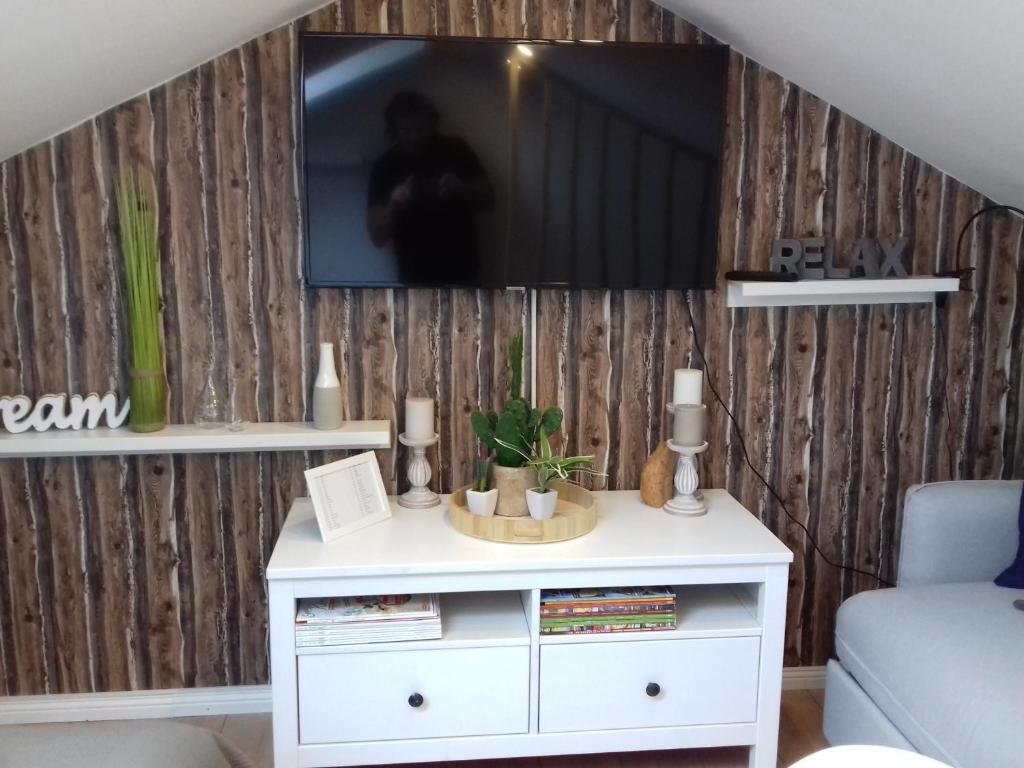 Televízia a/alebo spoločenská miestnosť v ubytovaní Ferienwohnung Wiesmühlstrasse