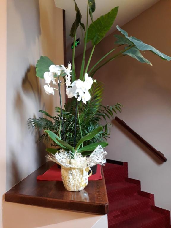 Gambar di galeri bagi Guesthouse "Kod Čileta" di Kovin