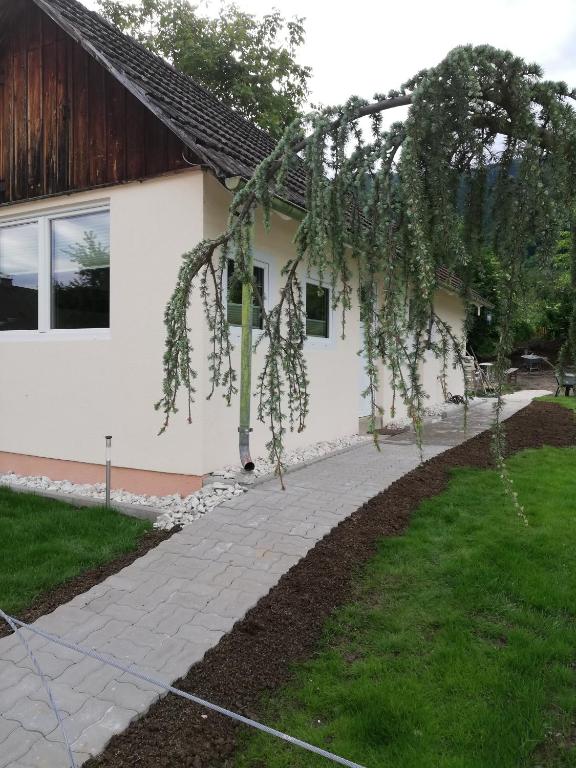 Zahrada ubytování Ferienhaus Am-moore