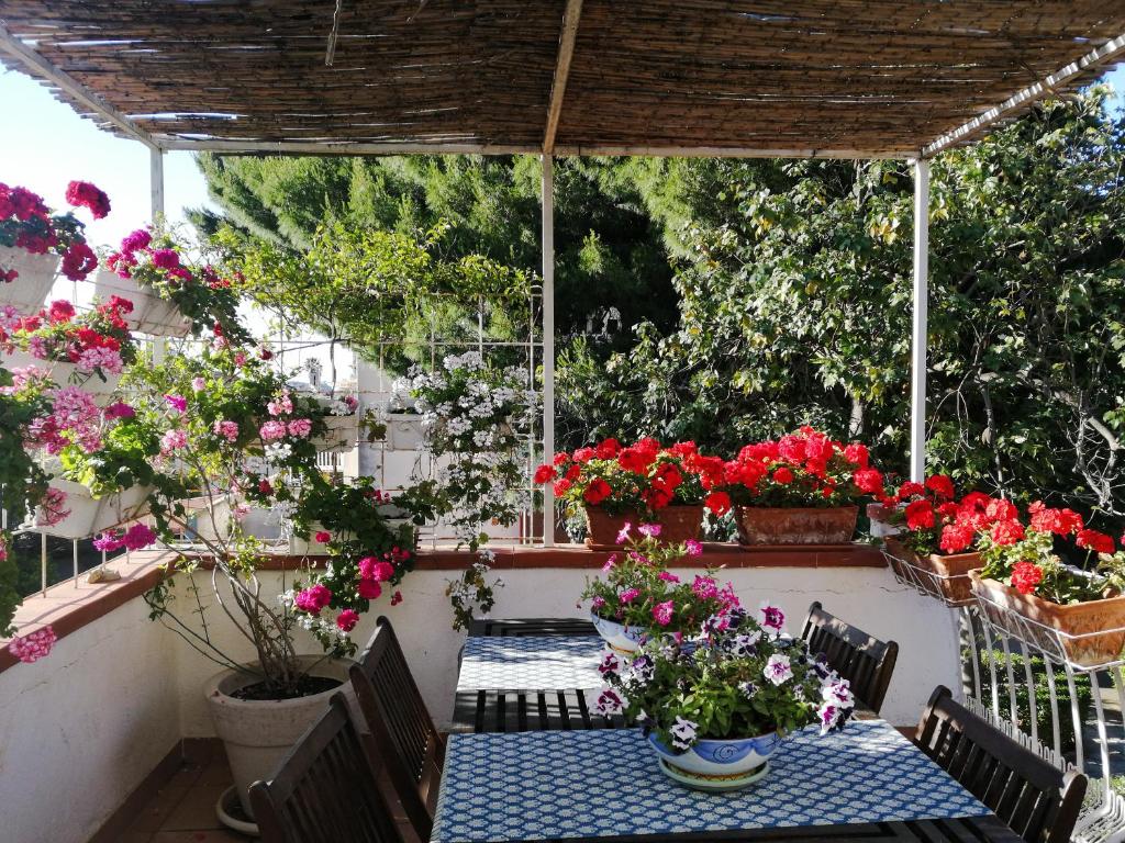 eine Terrasse mit einem Tisch und Blumen in Töpfen in der Unterkunft La stanza di Angi a Mondello in Palermo