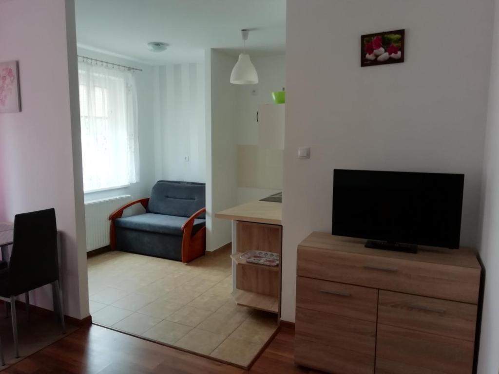 Televízia a/alebo spoločenská miestnosť v ubytovaní Apartament u Magdy