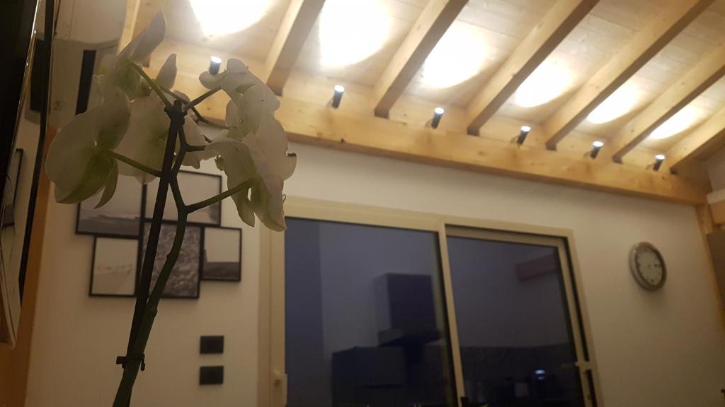 Open Land Holiday House - Holiday Home