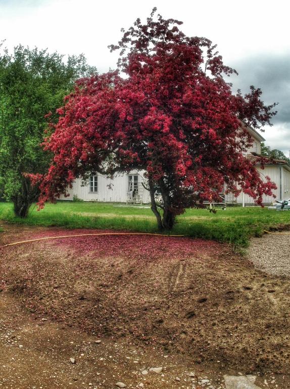 Zahrada ubytování Lundsbrunn B&B