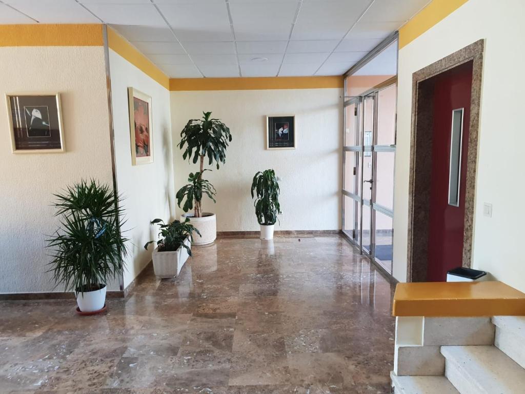 En el cielo de Benidorm - Alteanos V, Benidorm – Prețuri ...