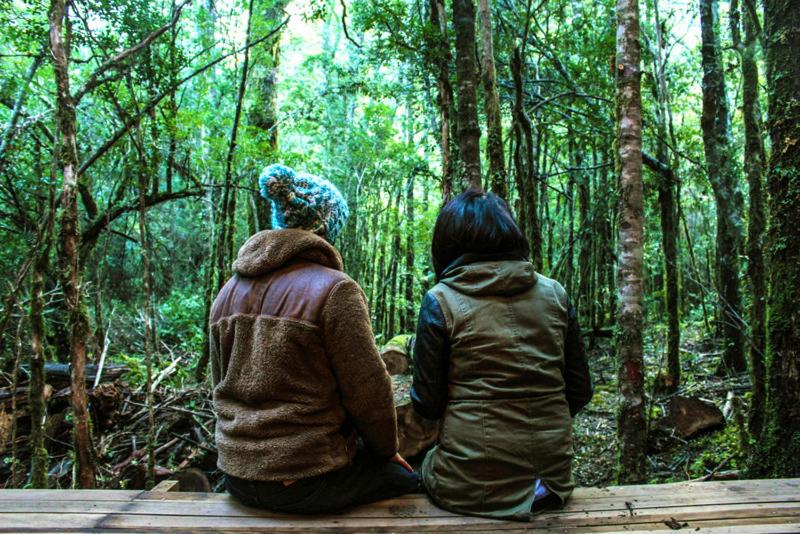 Hosté ubytování Cabañas Bosque Milenario
