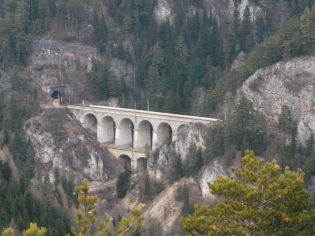 Příroda nedaleko apartmánu