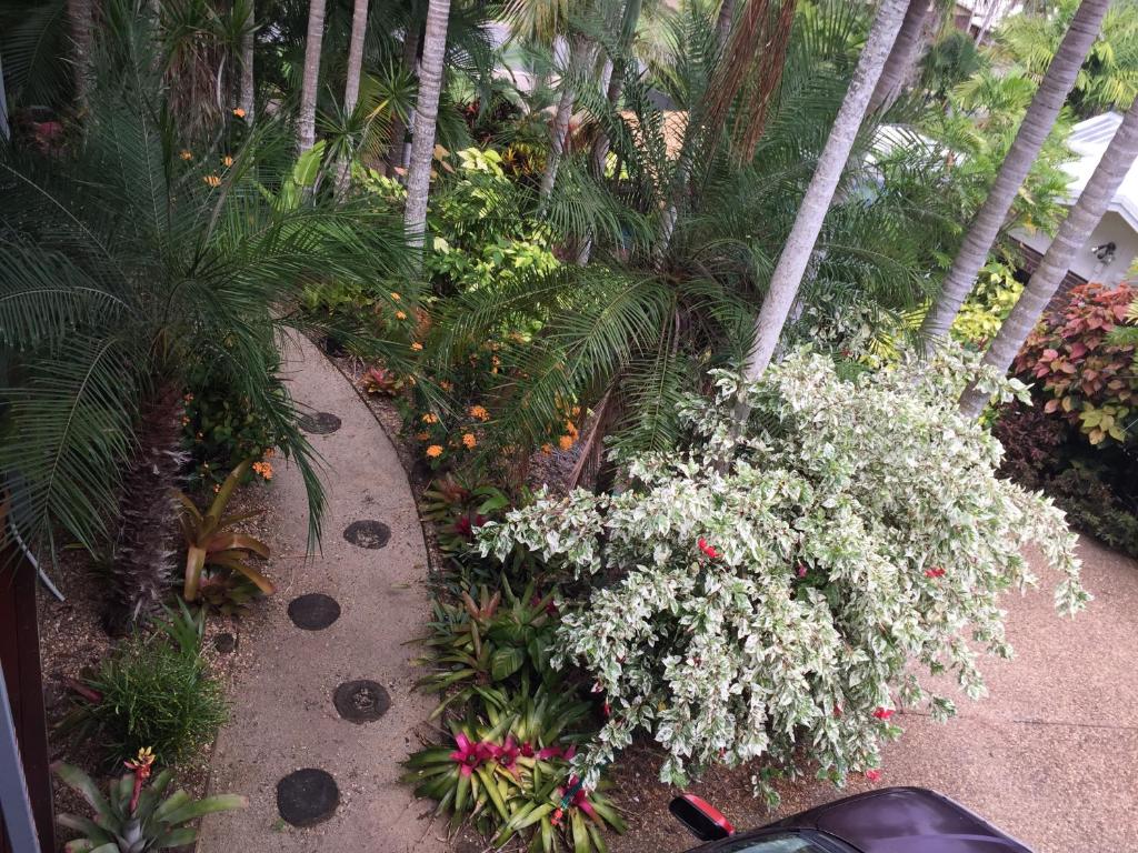 a garden with flowers and palm trees and a walkway at Casuarina in Yeppoon