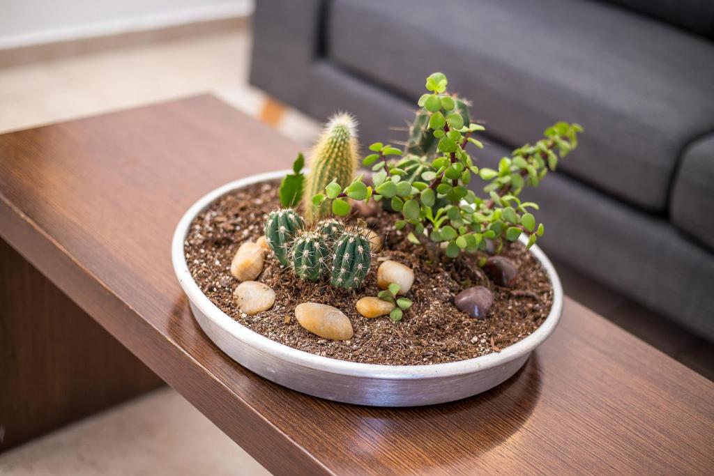 Mynd úr myndasafni af Apartment Ivy Kallithea í Ródos-bær