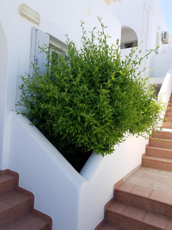 Katerina Apartments & Studios - 1